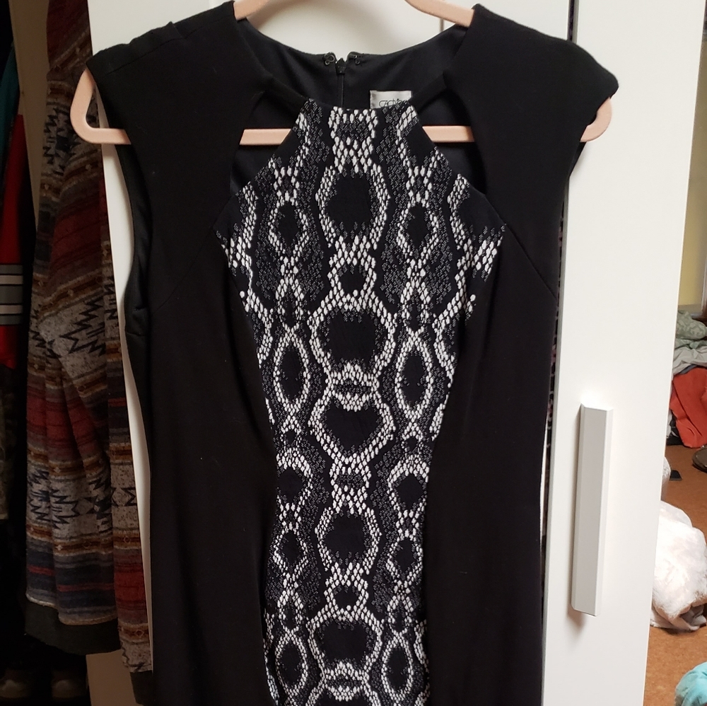 Cache Dress - image 1